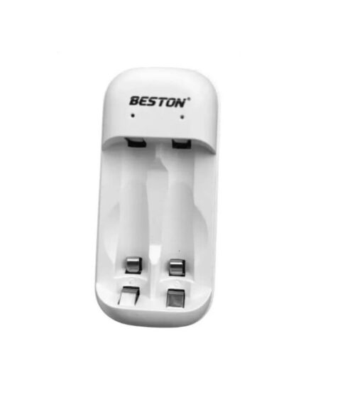 BESTON C2-2D1H01 Charger